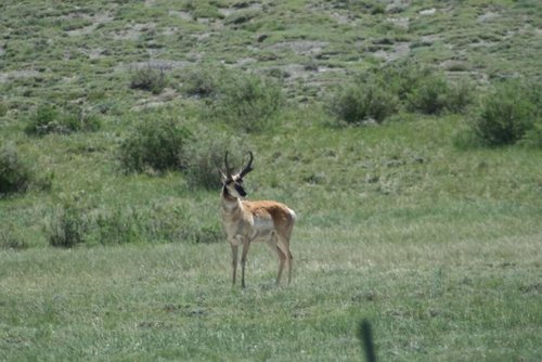 IMG_0380 (960x641).jpg