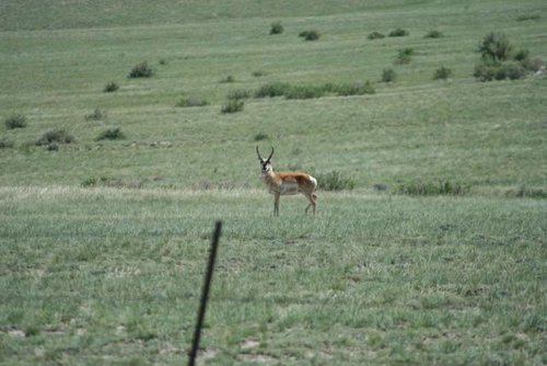 IMG_0379 (960x640).jpg