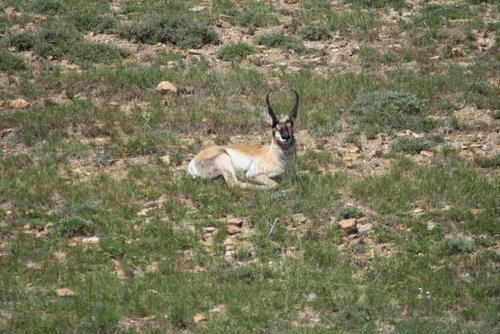 IMG_0395 (960x640).jpg