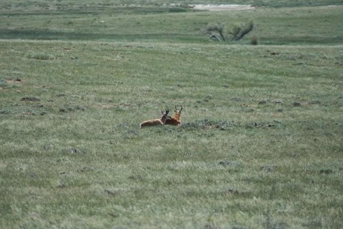 IMG_0396 (960x640).jpg