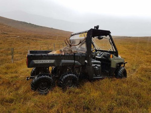 20171011_133824_resized_1.jpg 20171011_133824_resized_1.jpg