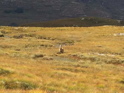 received_1024873294212153.jpg received_1024873294212153.jpg