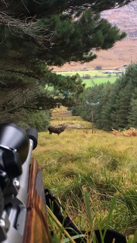 IMG-20161023-WA0024_1493637148536.jpg IMG-20161023-WA0024_1493637148536.jpg