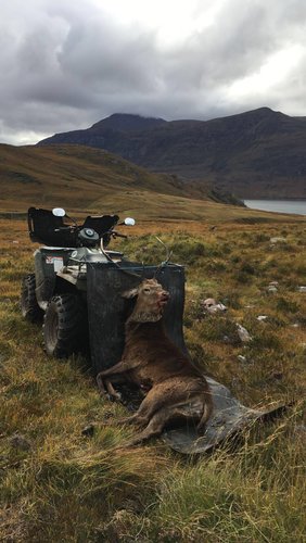 IMG-20161023-WA0025_1493637148296.jpg IMG-20161023-WA0025_1493637148296.jpg