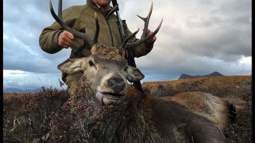 IMG-20161023-WA0020_1493637148621.jpg IMG-20161023-WA0020_1493637148621.jpg