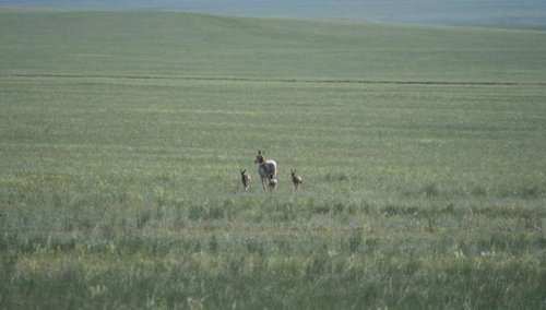 IMG_0439 (960x544).jpg