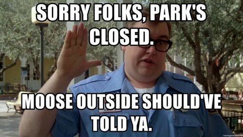 sorry-folks-parks-closed-moose-outside-shouldve-told-ya.jpg sorry-folks-parks-closed-moose-outside-shouldve-told-ya.jpg