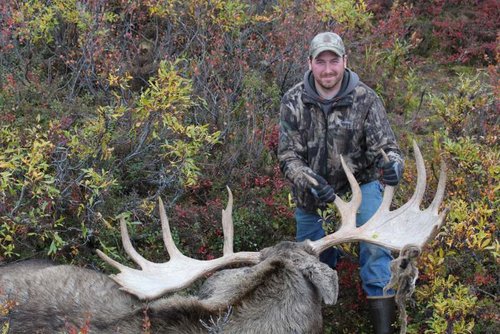 60in Alaska Moose.jpg 60in Alaska Moose.jpg