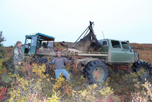 Moose buggy 2.jpg Moose buggy 2.jpg