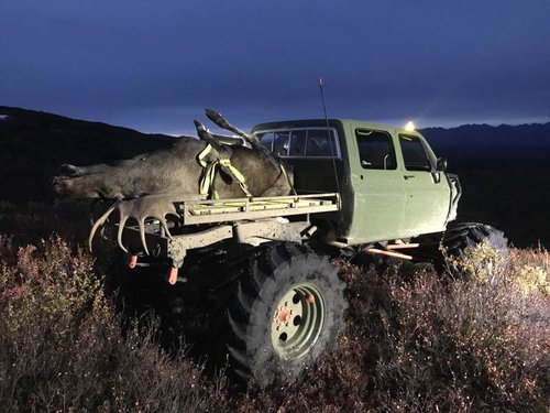 moose buggy night.jpg moose buggy night.jpg