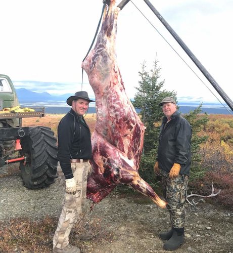 skinned moose.jpg skinned moose.jpg