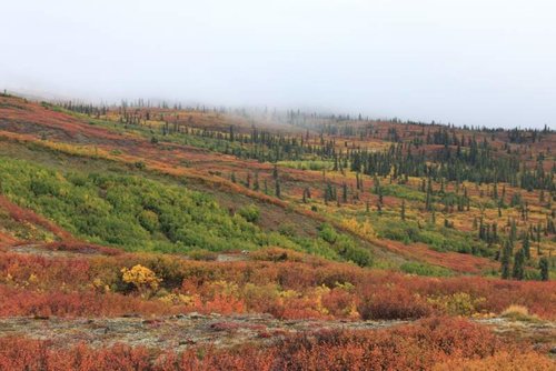 Alaska September Colors.jpg