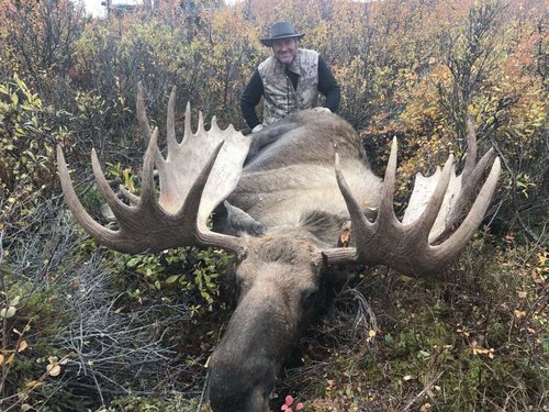 Moose 4x4.jpg Moose 4x4.jpg