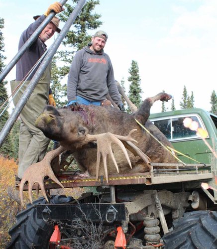 moose buggy loaded.jpg moose buggy loaded.jpg