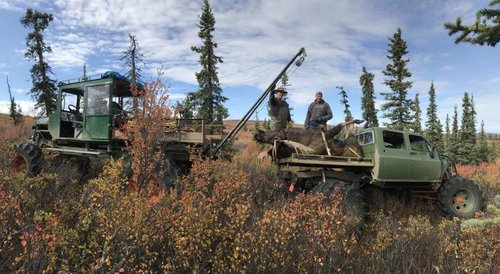 Moose buggies.jpg Moose buggies.jpg