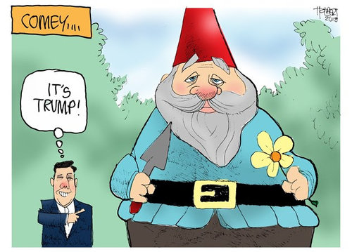 Comey Gnomey.jpg