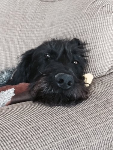 Gus w Duck.jpg