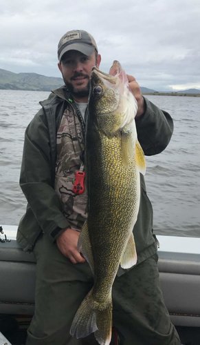 20180617_172847.jpg