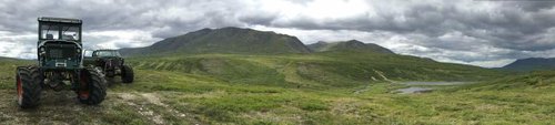 Alaska Moose Buggy 4.jpg Alaska Moose Buggy 4.jpg