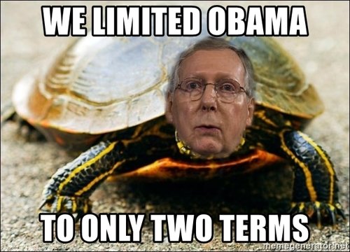 turtle.jpg turtle.jpg
