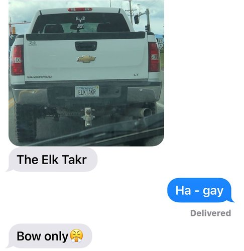 elk takr.JPG