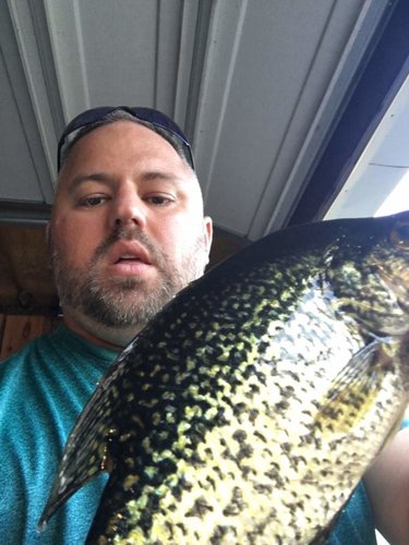 crappie2018.jpg