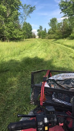 1stfoodplot2018.jpg