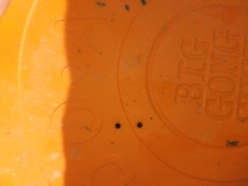 20180629_090919.jpg 20180629_090919.jpg
