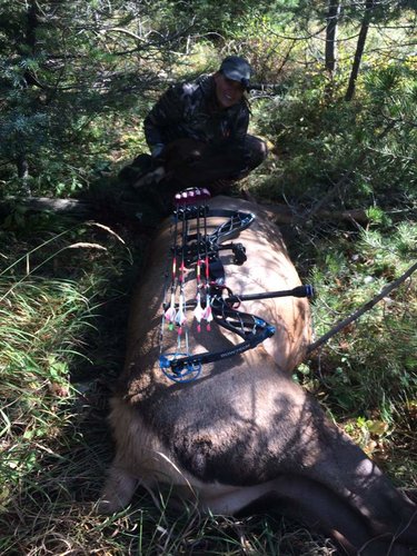 elk2.jpg elk2.jpg