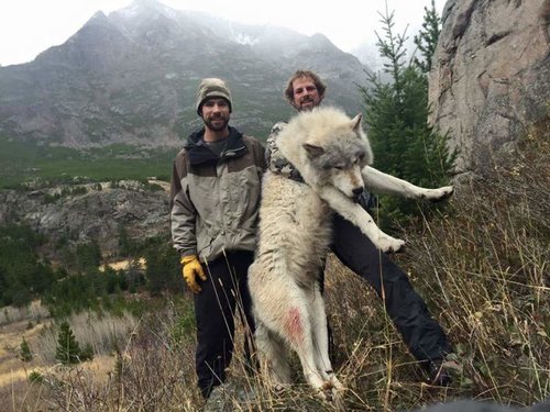 6582E30F-1326-419E-AE9F-44E56B5C4B11.jpg 6582E30F-1326-419E-AE9F-44E56B5C4B11.jpg