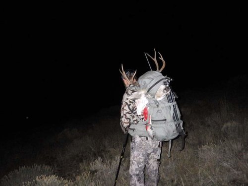 RIMG0479.jpg RIMG0479.jpg