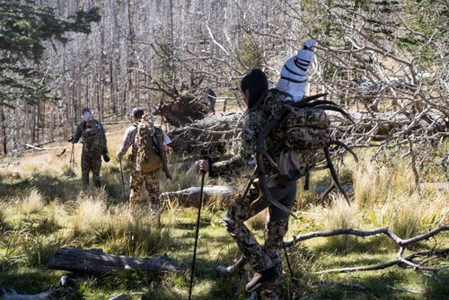 Marcus_Hockett_NM_Elk-73.jpg Marcus_Hockett_NM_Elk-73.jpg