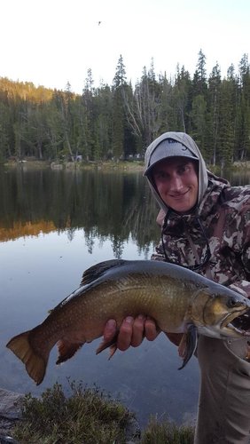 Beartooths '18 (2).jpg