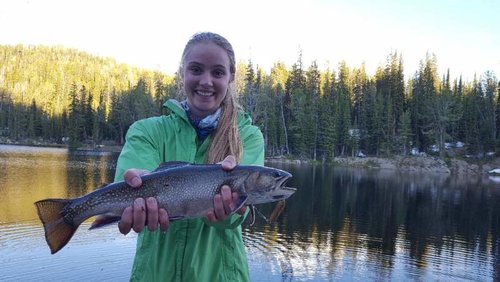 Beartooths '18 (4).jpg