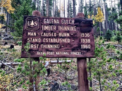 galena.jpg