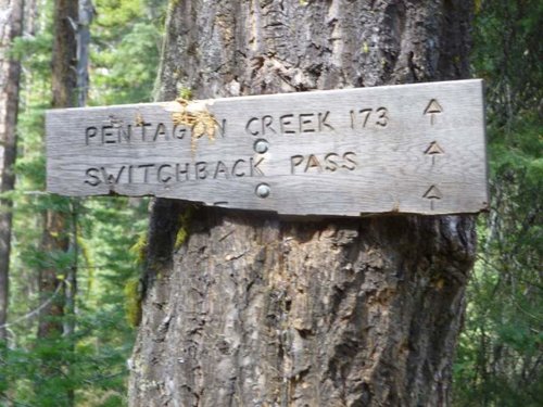 P1000634.jpg