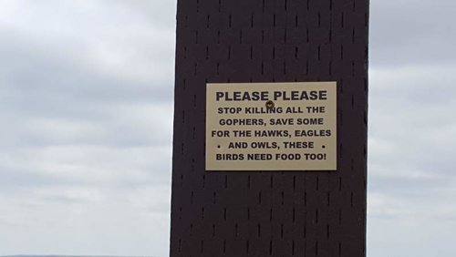 gophers.jpg