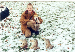 1997rabbits.jpg 1997rabbits.jpg