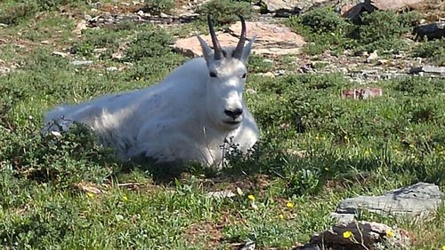20180723_095910.jpg 20180723_095910.jpg