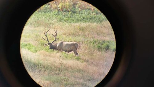 20180727_095622_HDR.jpg 20180727_095622_HDR.jpg