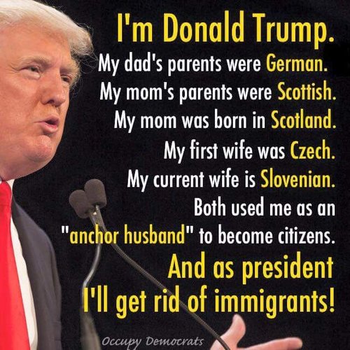 48eeab4da671d8e1afa0b62f2ff94ec7--donald-trump-funny-political-comedy.jpg