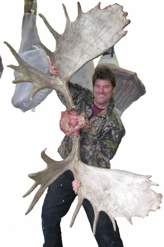 Moose Antler.jpg