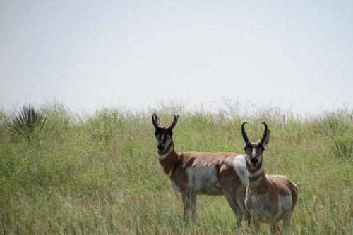 IMG_5896.jpg IMG_5896.jpg
