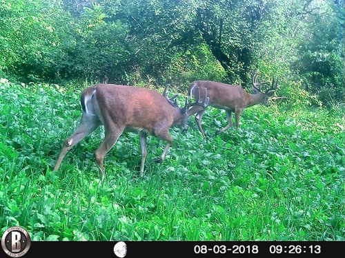 HUNT0078 - Version 2.jpg