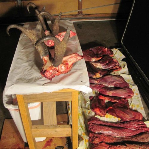 IMG_2268 - Copy (2).jpg