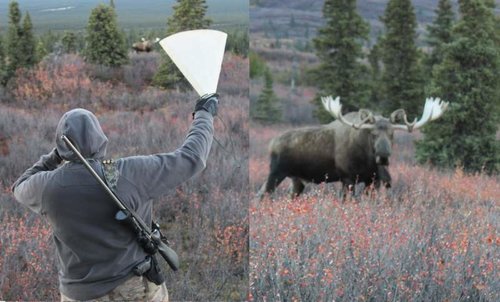 Moose call.jpg