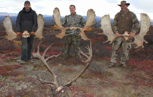 Alaska moose hunt.jpg