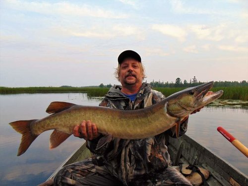 42 in. Muskie Tahquamenon River.jpg 42 in. Muskie Tahquamenon River.jpg