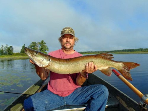 40 in. Muskie Tahquamenon River.jpg 40 in. Muskie Tahquamenon River.jpg