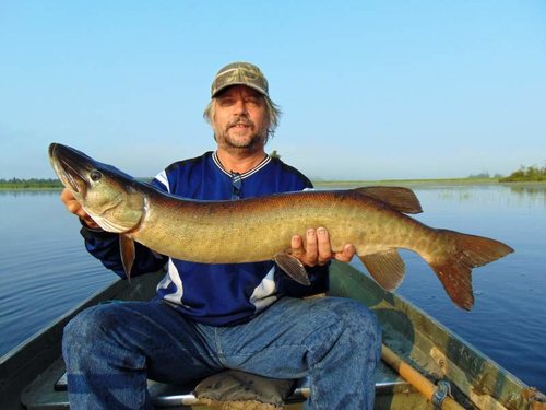 34-36 in. Muskie Tahquamenon River.jpg 34-36 in. Muskie Tahquamenon River.jpg